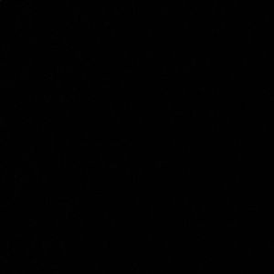 Meet your Posher, Emily weinbaum